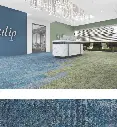 amsterdam 10.webp