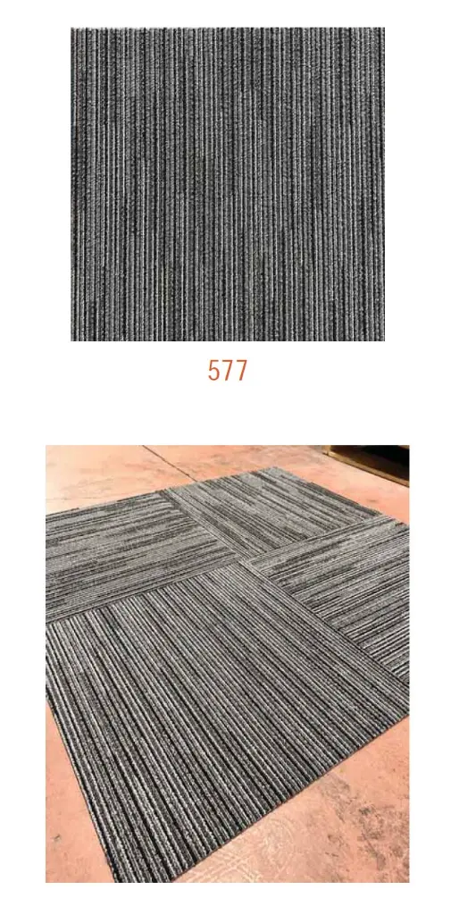 beach 577.webp