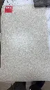 IMG-20250203-WA0004.webp
